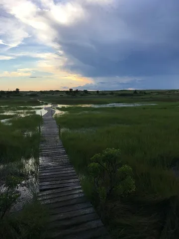 $7,000 | 27 Beach Plum Lane, Chilmark, MA 02535