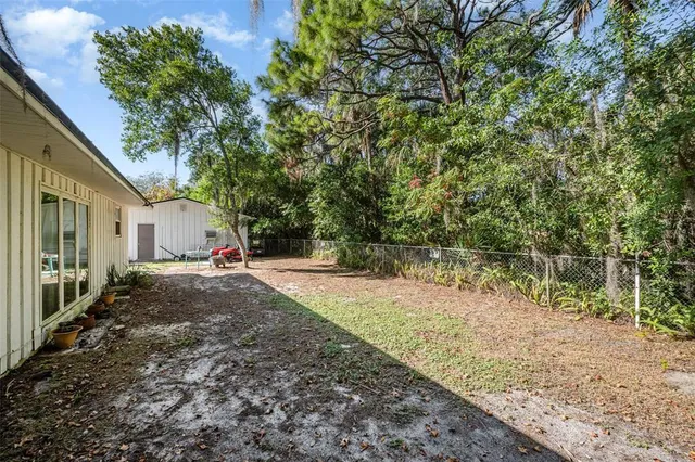a view of a yard with plants and tree