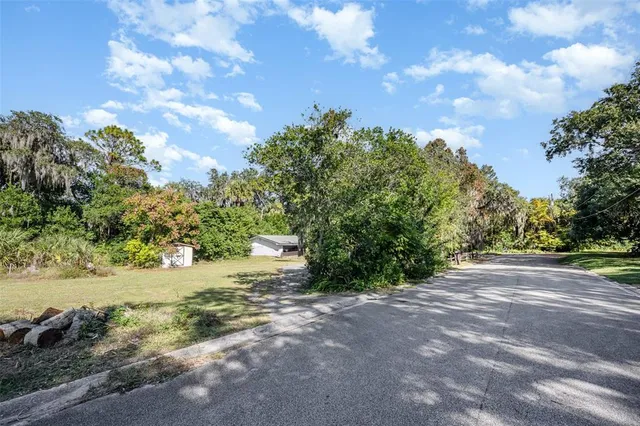 a view of a yard with plants and trees