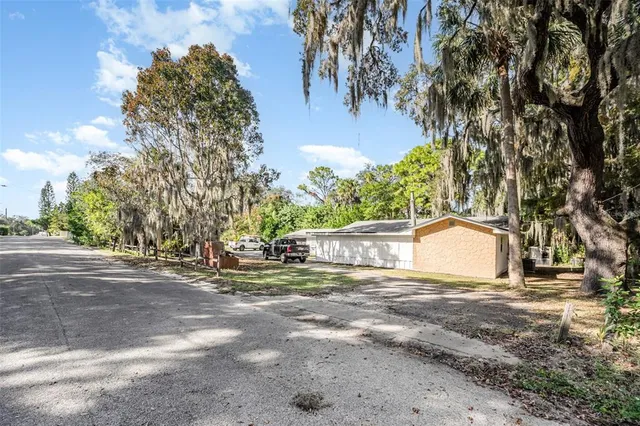 a view of yard with tree