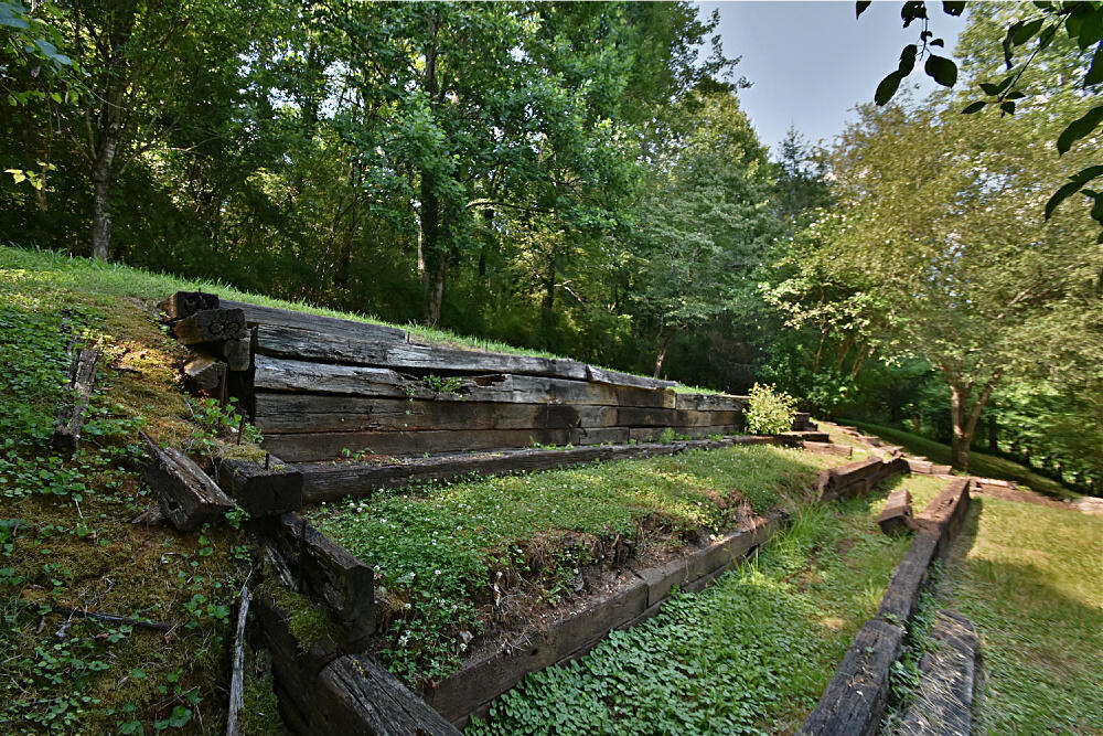 102 Middlebury Road Oak Ridge, TN 37830 - Photo 24 of 27 DSC_1531
