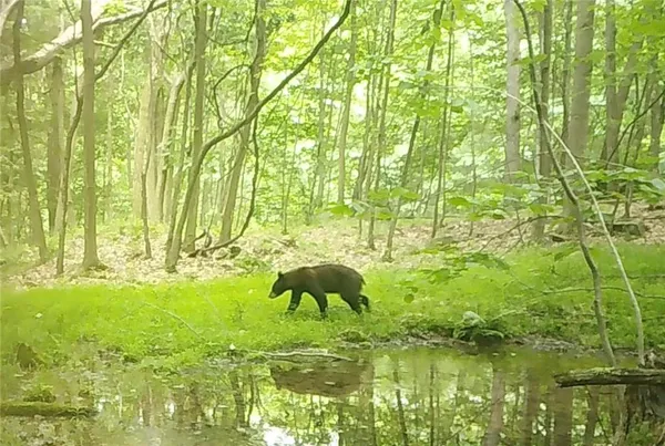 a bathroom with a swimming pool