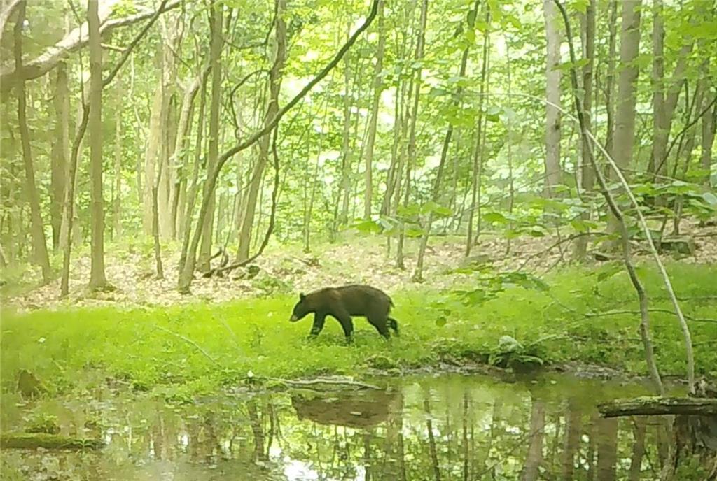 590 Astral Road Franklin, PA 16323 - Photo 12 of 25 a bathroom with a swimming pool