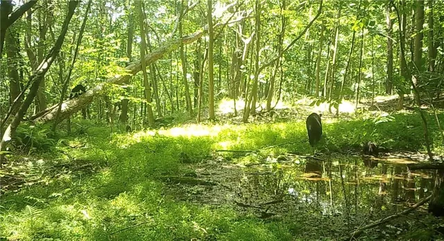 $359,000 | 590 Astral Road, Franklin, PA 16323