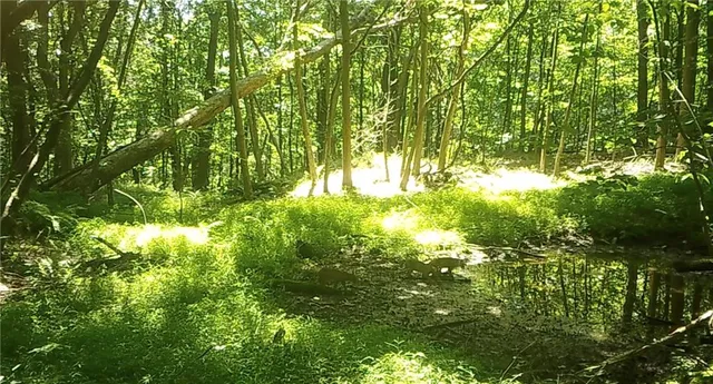 $359,000 | 590 Astral Road, Franklin, PA 16323