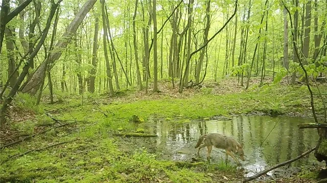 $359,000 | 590 Astral Road, Franklin, PA 16323