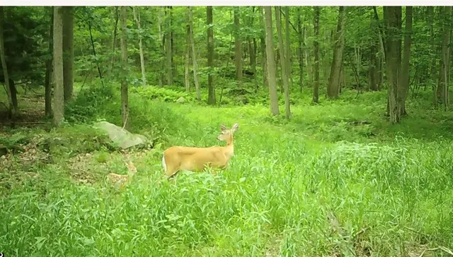 $359,000 | 590 Astral Road, Franklin, PA 16323