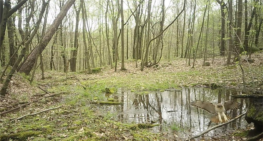 590 Astral Road Franklin, PA 16323 - Photo 17 of 25 a bathroom with a shower
