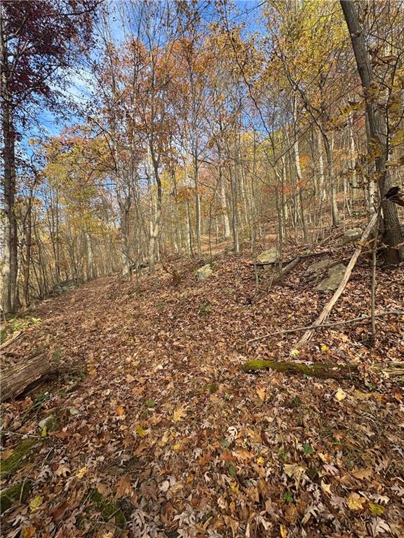 590 Astral Road Franklin, PA 16323 - Photo 18 of 25 a view of a yard with trees