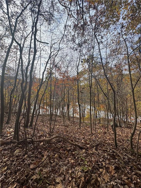 590 Astral Road Franklin, PA 16323 - Photo 20 of 25 a view of yard