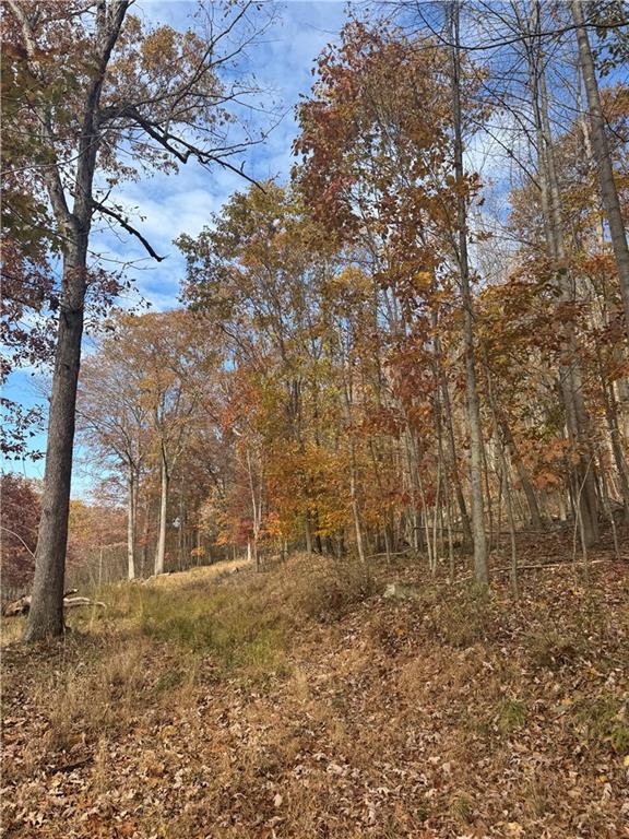 590 Astral Road Franklin, PA 16323 - Photo 22 of 25 a backyard of a house with lots of green space