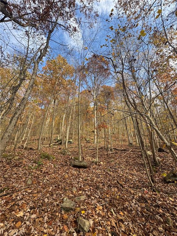590 Astral Road Franklin, PA 16323 - Photo 25 of 25 a backyard of a house