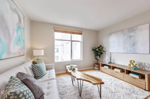 a living room with furniture and a potted plant