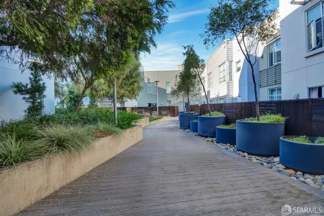 a view of backyard with outdoor seating and plants