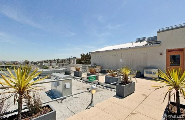 a living room with a couch and potted plants