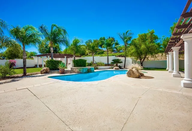 a view of a park with plants and palm trees