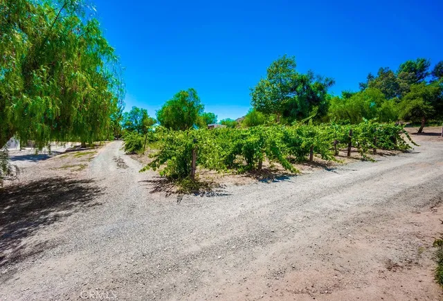 a view of a road with a yard