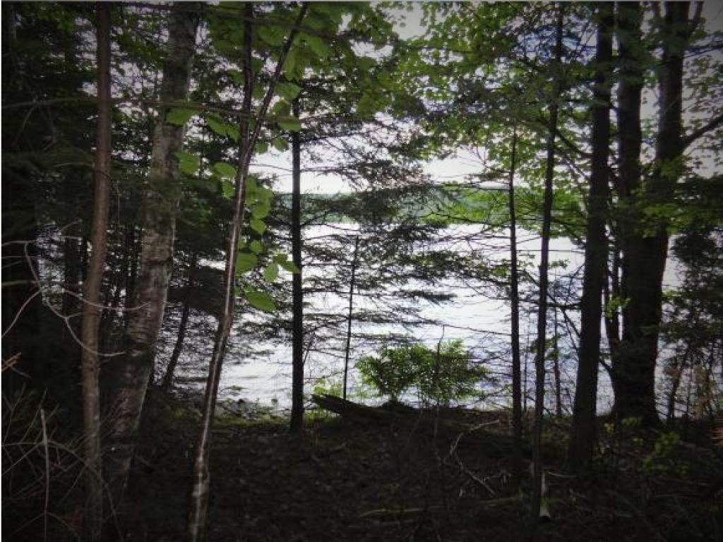 591 Cedar Stream Road Weare, NH 03281 - Photo 11 of 19