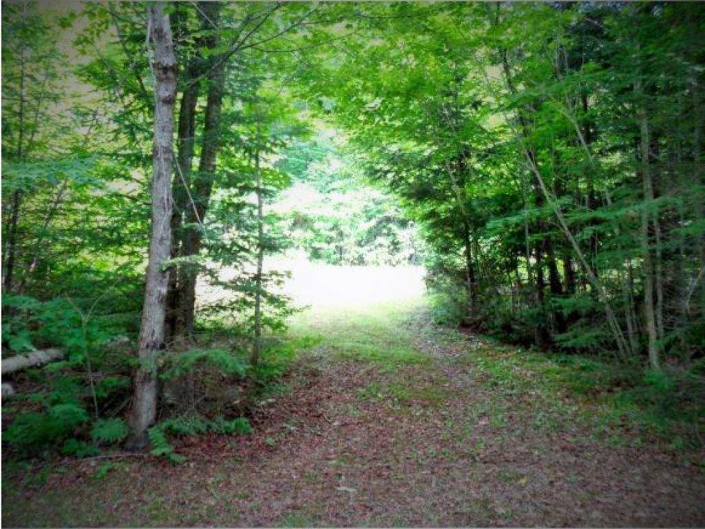 591 Cedar Stream Road Weare, NH 03281 - Photo 16 of 19