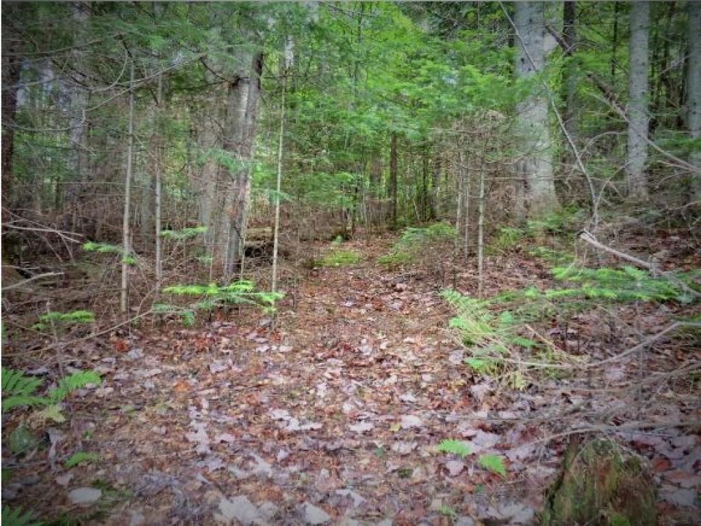 591 Cedar Stream Road Weare, NH 03281 - Photo 17 of 19