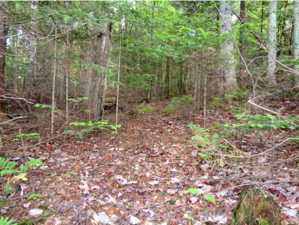 591 Cedar Stream Road Weare, NH 03281 - Photo 19 of 19