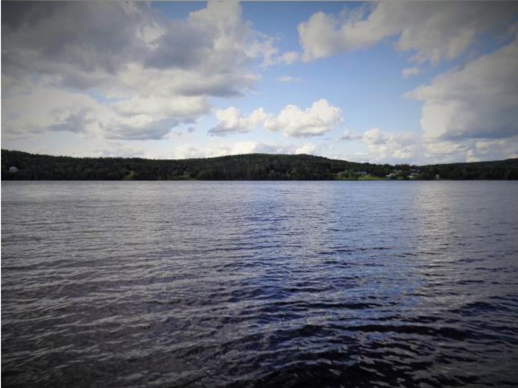 591 Cedar Stream Road Weare, NH 03281 - Photo 10 of 19