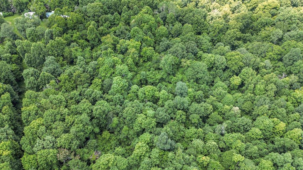 0 Calaway Road, Unit TRACT 5) Coolville, OH 45723 - Photo 24 of 32 DJI_0018