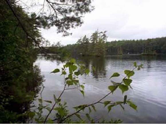 Lot 2 Racoon Road Acton, ME 04001 - Photo 1 of 6 Gallery Image 1