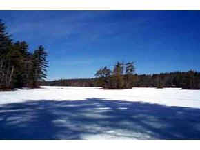 Lot 2 Racoon Road Acton, ME 04001 - Photo 2 of 6 Gallery Image 2
