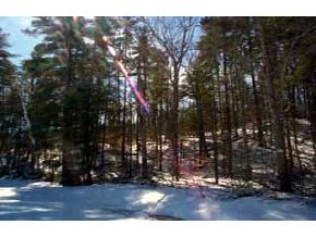 Lot 2 Racoon Road Acton, ME 04001 - Photo 4 of 6 Gallery Image 4