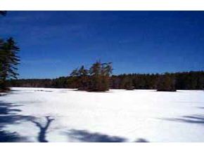 Lot 2 Racoon Road Acton, ME 04001 - Photo 6 of 6 Gallery Image 6