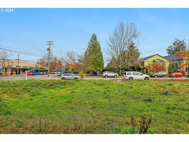 a view of yard with green space