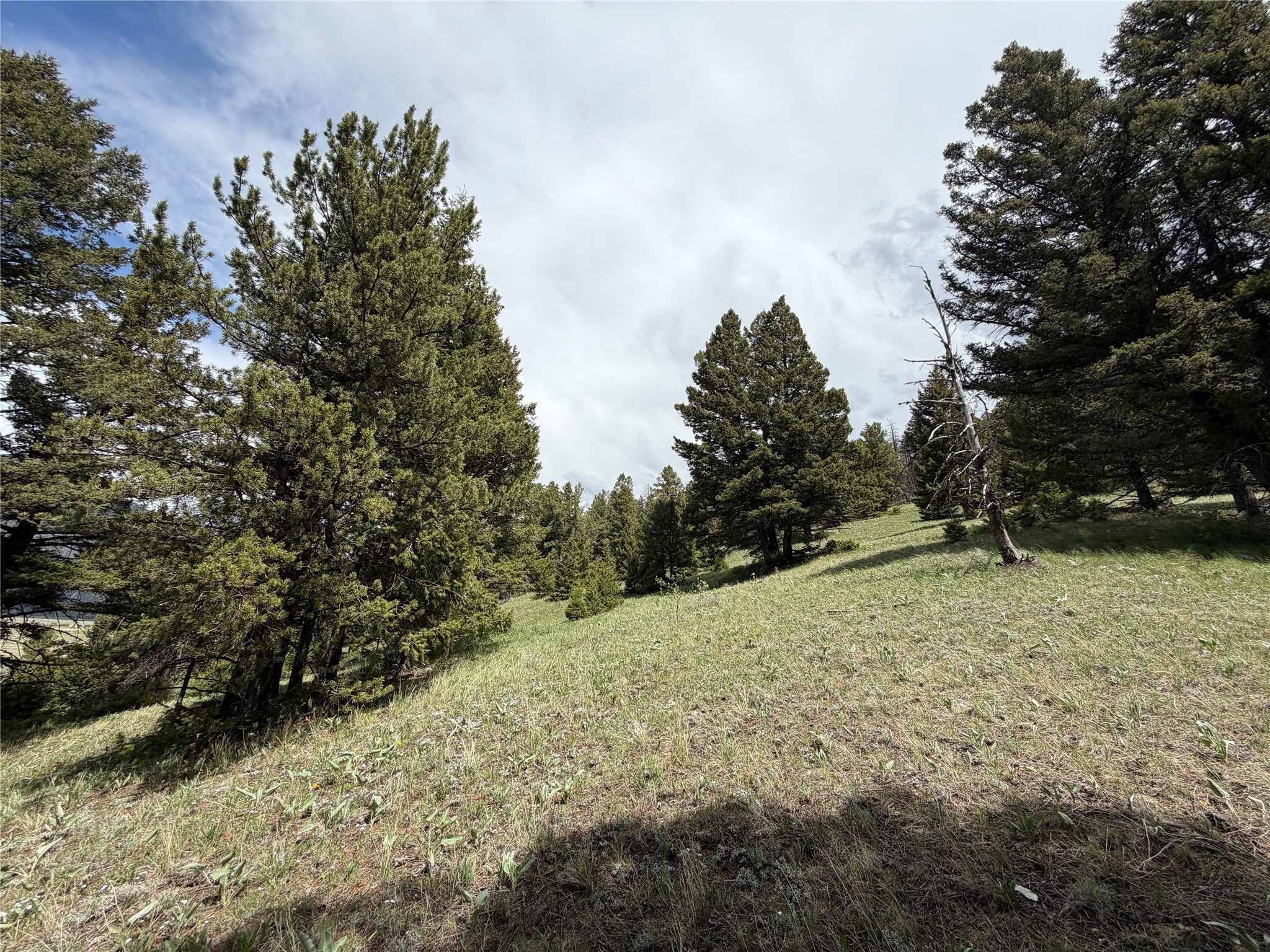 Lot 2-4a Continental Divide Road Cameron, MT 59720 - Photo 21 of 31 Gallery Image 21