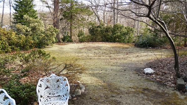85-81 Hillside Road Wellesley, MA 02481 - Photo 21 of 24 a view of outdoor space with trees