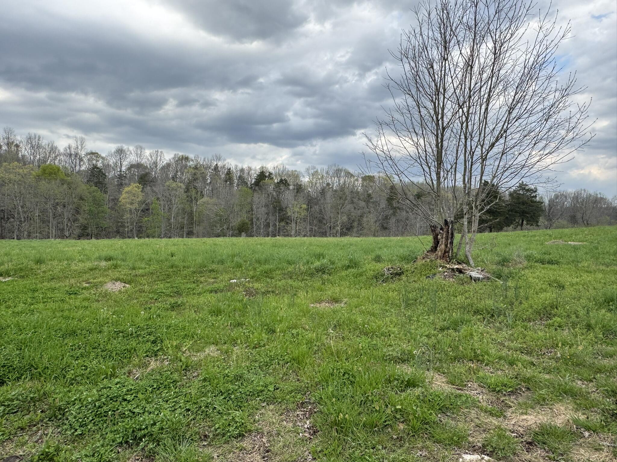 667 Troutstream Road Dunnville, KY 42528 - Photo 83 of 83 IMG_2338