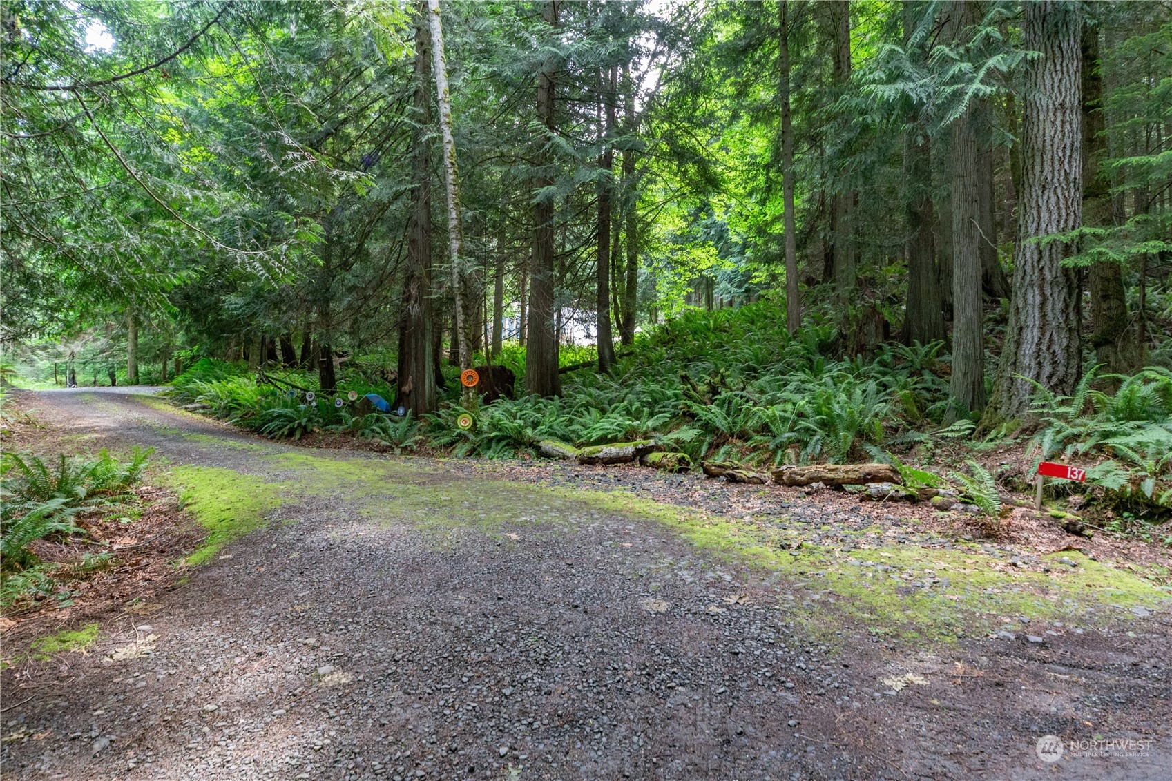 137 Windridge Road Chimacum, WA 98325 - Photo 36 of 40 a view of a yard with plants and trees