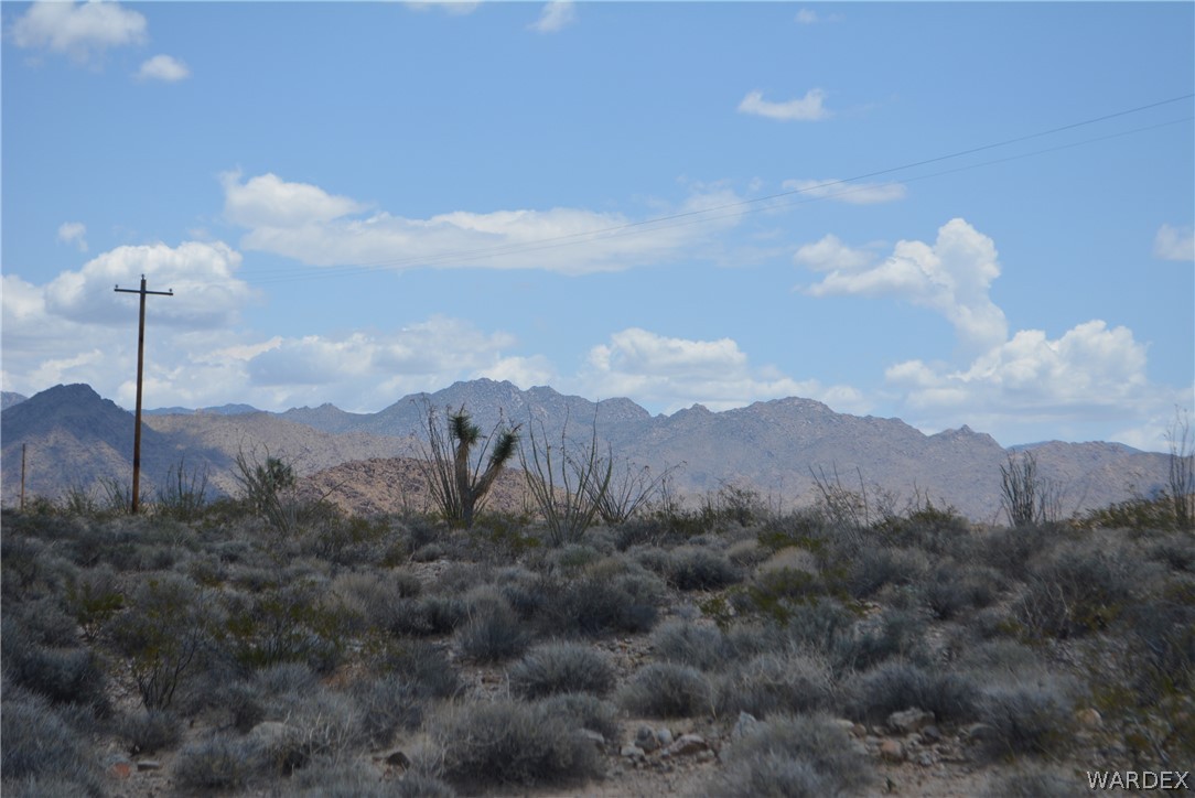 208-24-134 Cameron Road Yucca, AZ 86438 - Photo 28 of 86