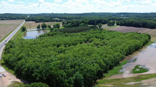 a view of a lush green forest with houses