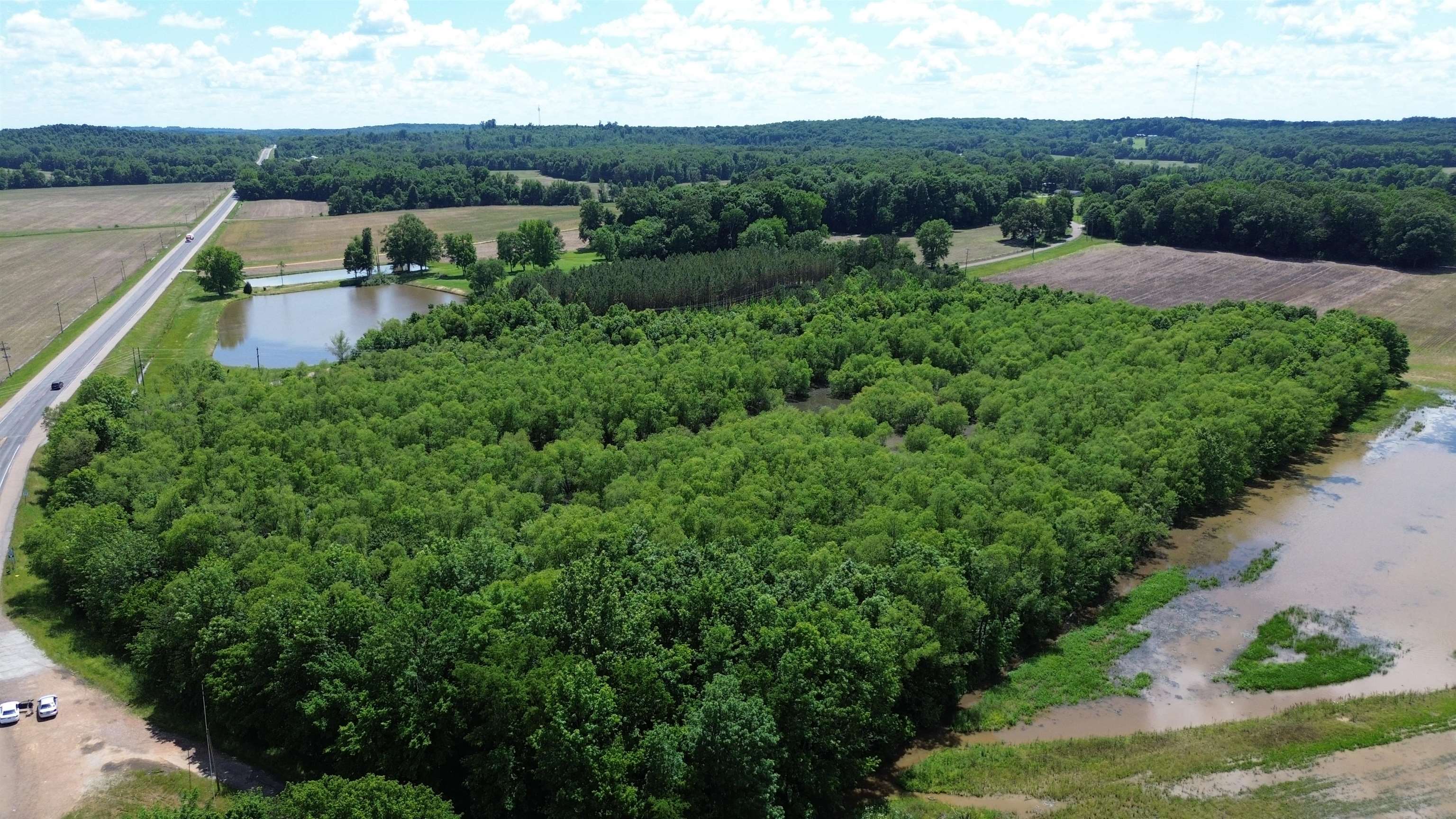 0 Hardin Graveyard Road Morris Chapel, TN 38361 - Photo 12 of 36 a view of a lush green forest with houses