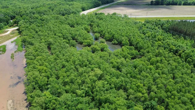 a view of a garden with a building