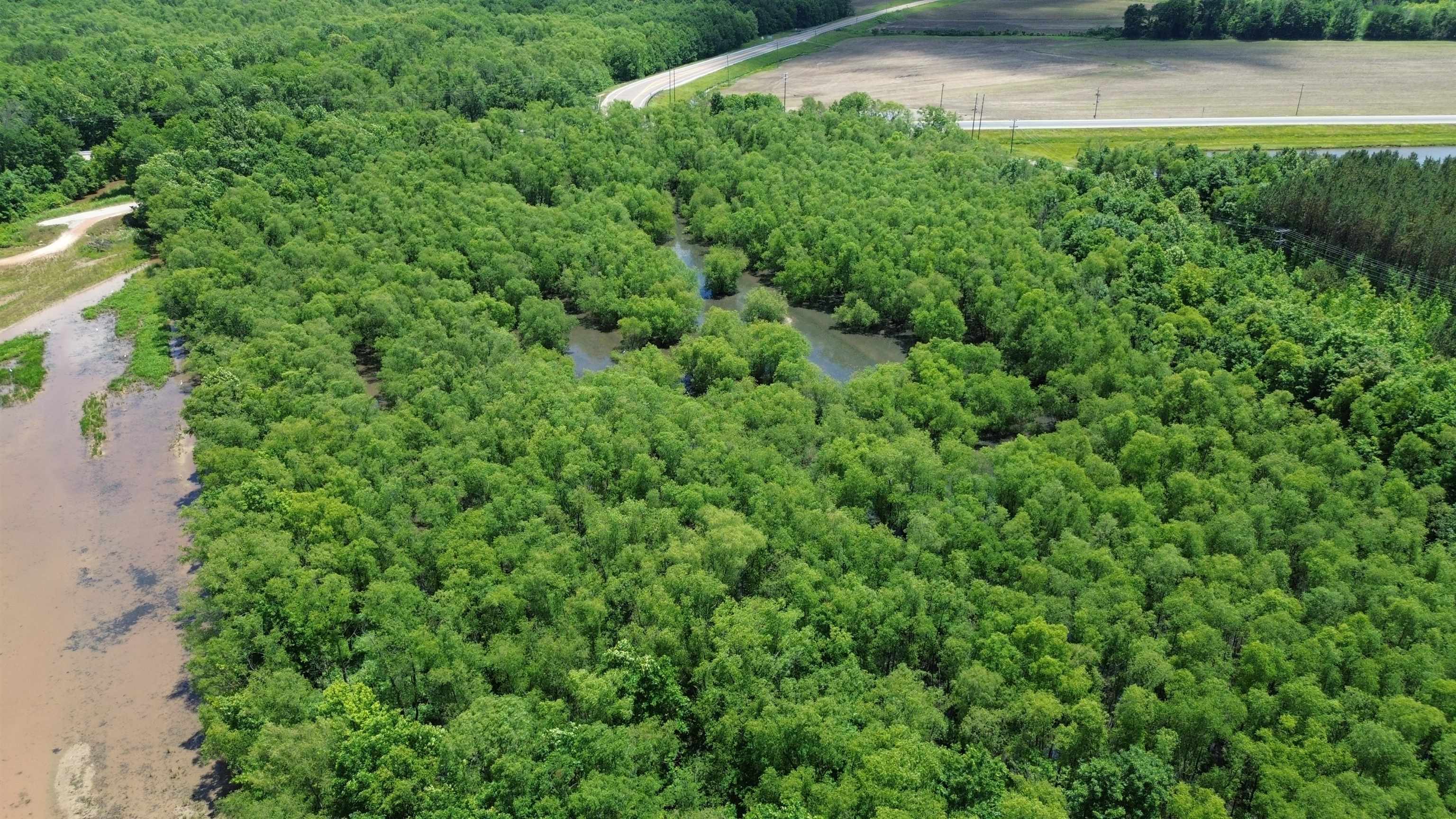 0 Hardin Graveyard Road Morris Chapel, TN 38361 - Photo 13 of 36 a view of a garden with a building