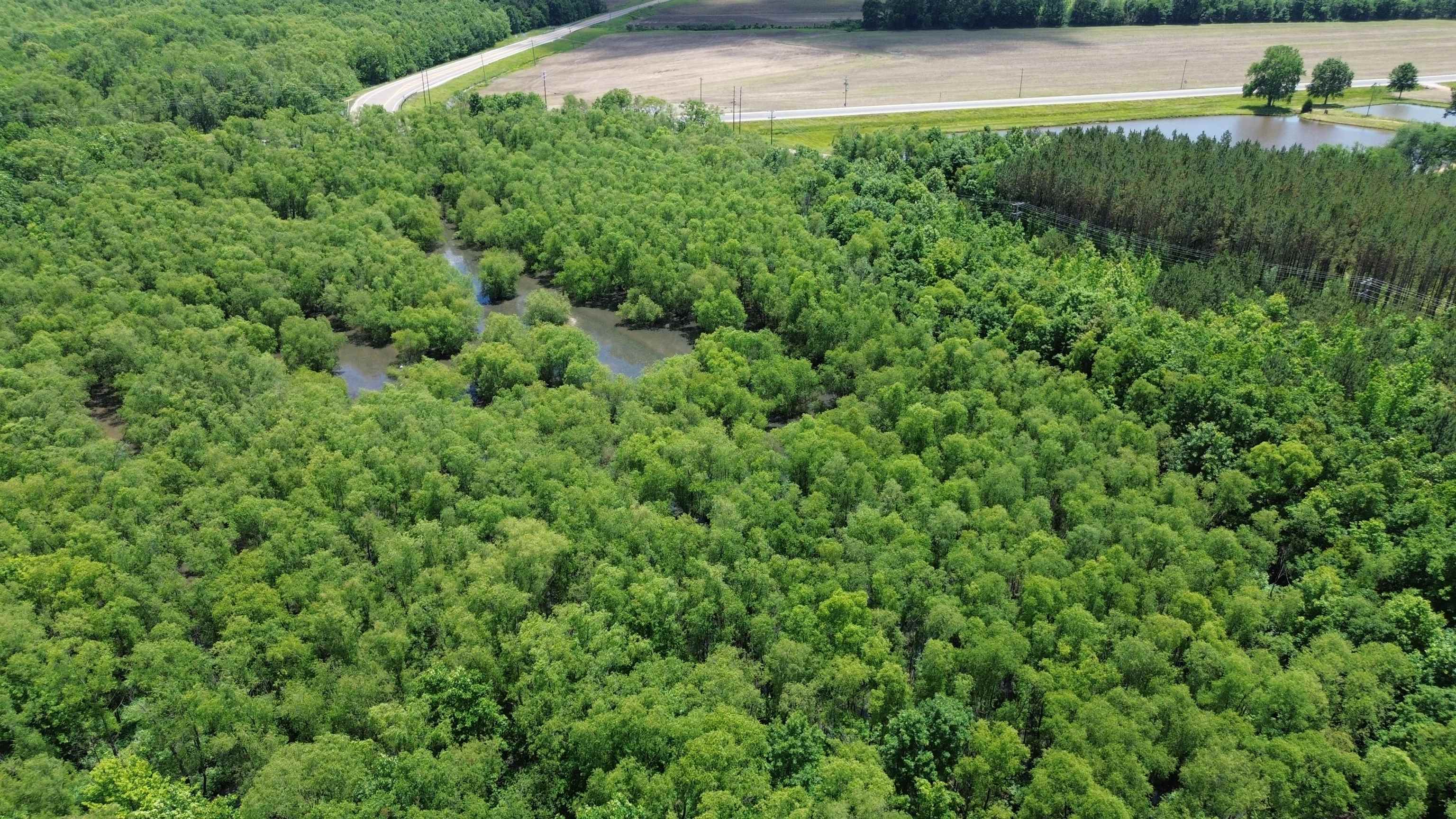 0 Hardin Graveyard Road Morris Chapel, TN 38361 - Photo 14 of 36 a view of a backyard