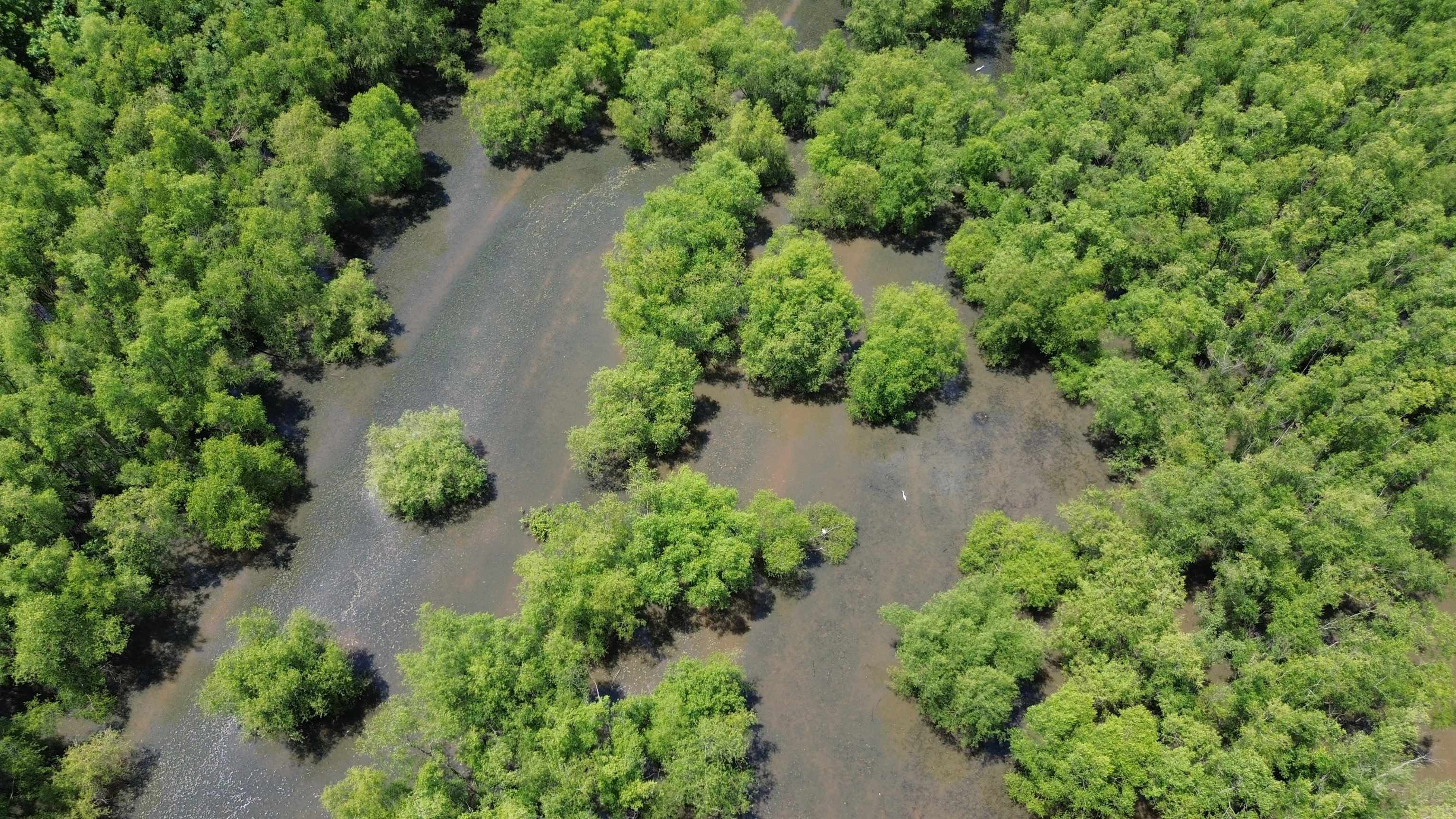 0 Hardin Graveyard Road Morris Chapel, TN 38361 - Photo 15 of 36 an aerial view of a house with a yard and lake view