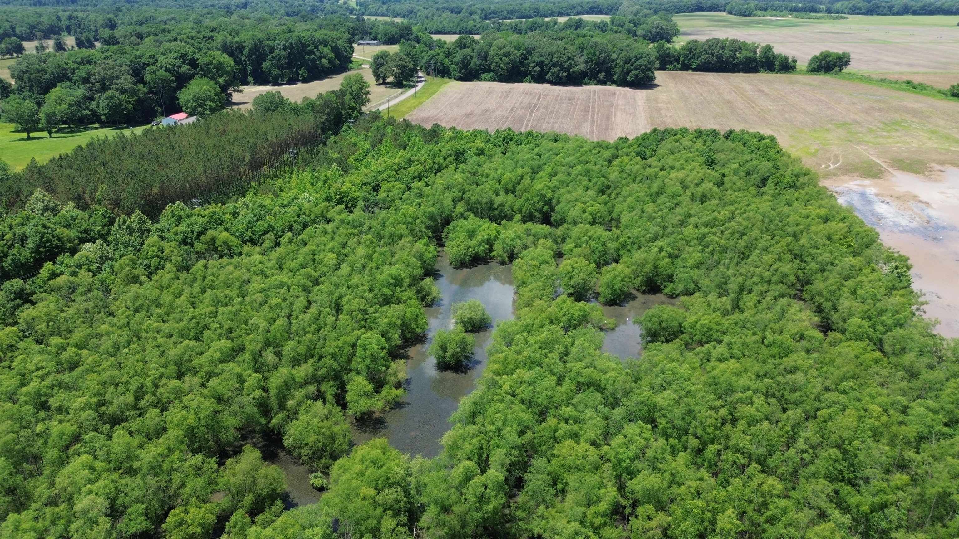 0 Hardin Graveyard Road Morris Chapel, TN 38361 - Photo 16 of 36 a view of a house with a yard