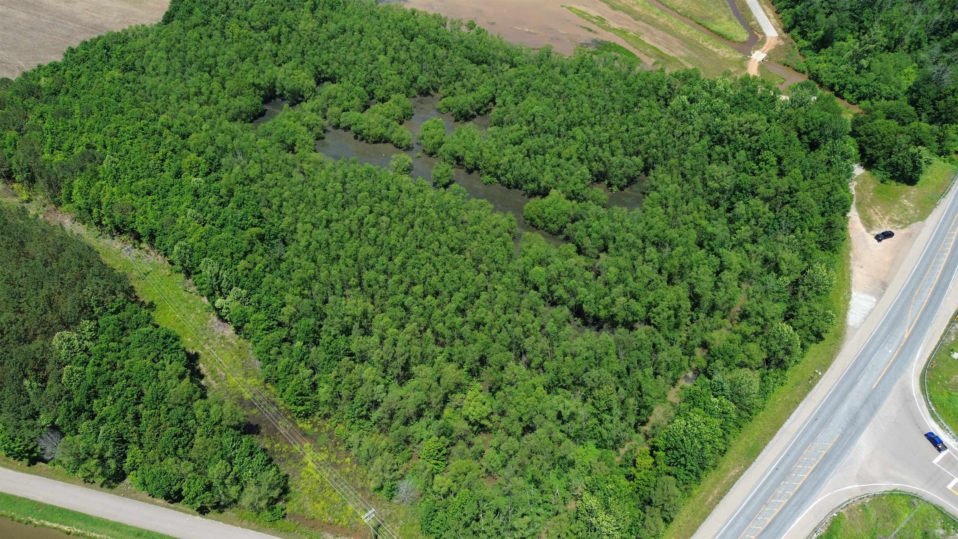 0 Hardin Graveyard Road Morris Chapel, TN 38361 - Photo 19 of 36 a view of a garden