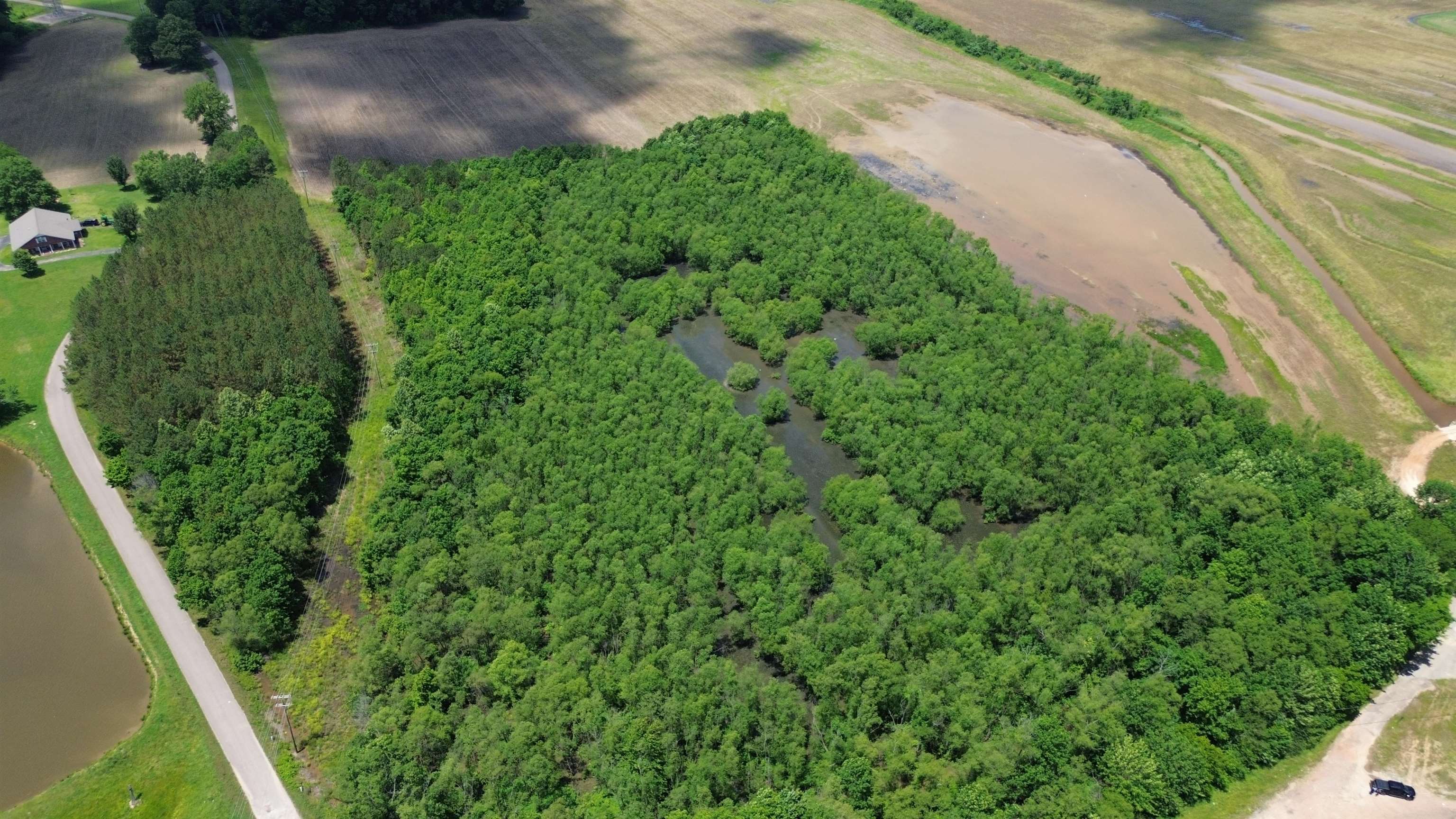 0 Hardin Graveyard Road Morris Chapel, TN 38361 - Photo 22 of 36 a view of a garden with a pathway