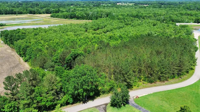a view of a field of grass and trees