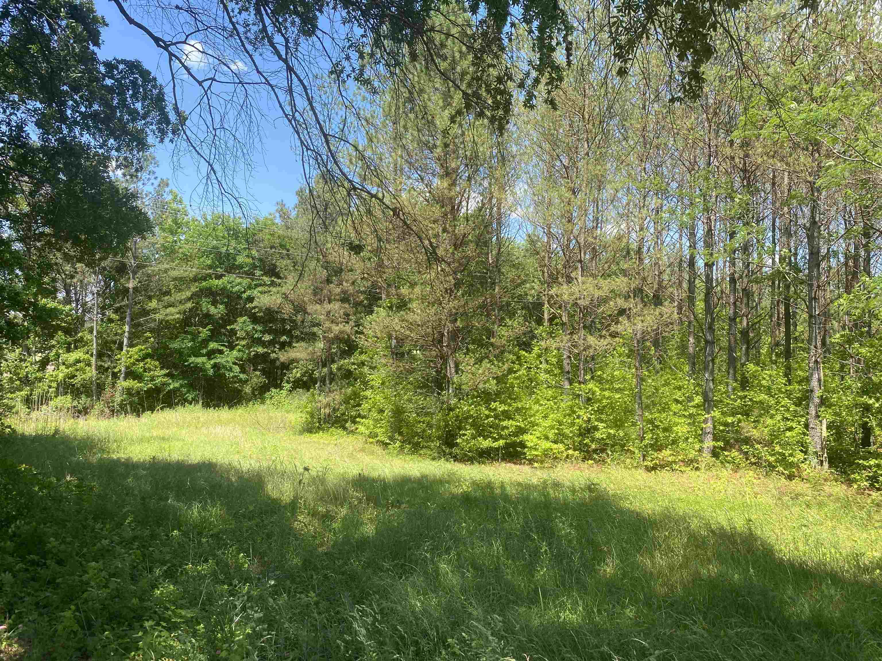 0 Hardin Graveyard Road Morris Chapel, TN 38361 - Photo 25 of 36 a view of yard with green space