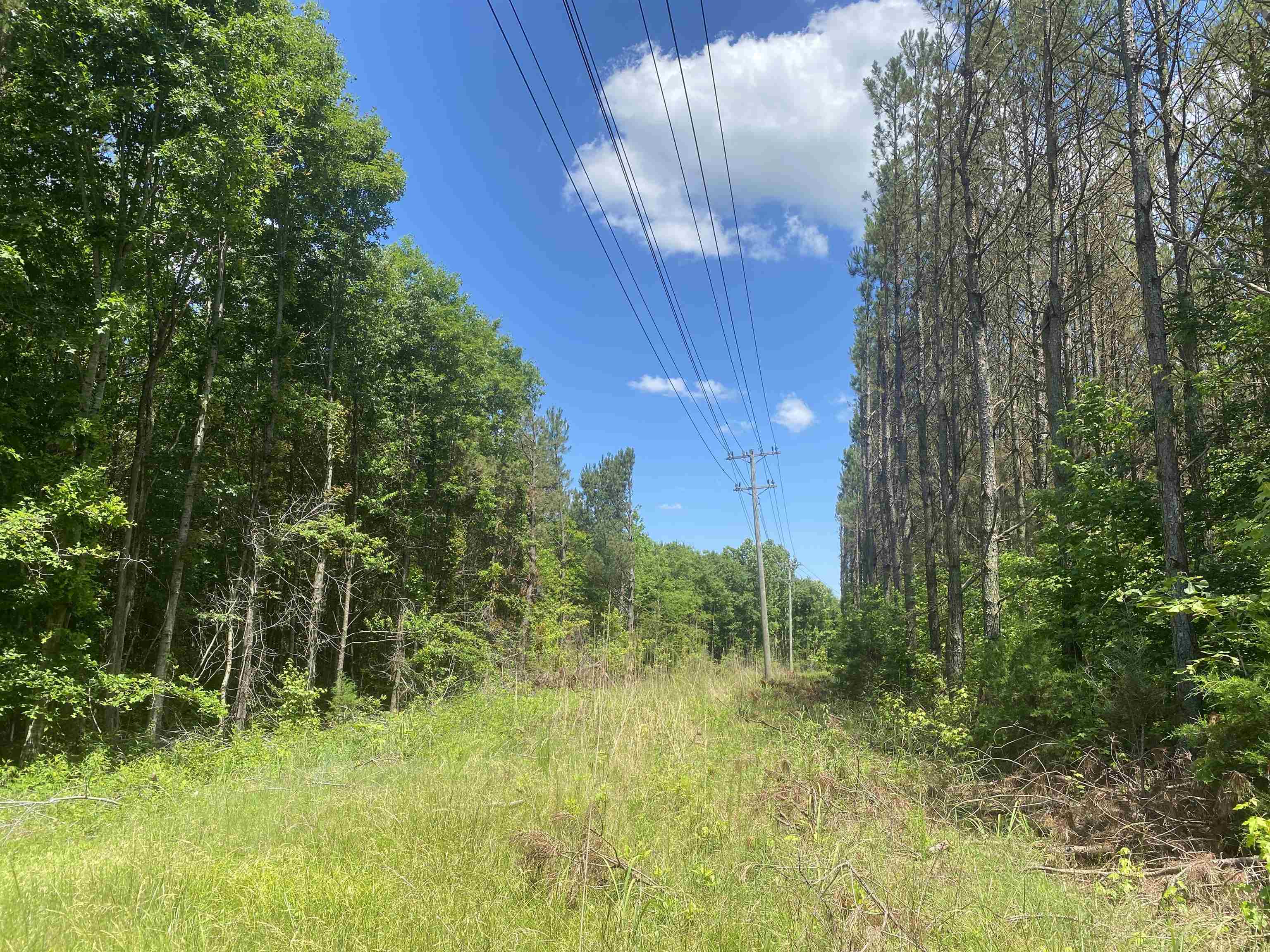 0 Hardin Graveyard Road Morris Chapel, TN 38361 - Photo 30 of 36 a view of an outdoor space and a yard