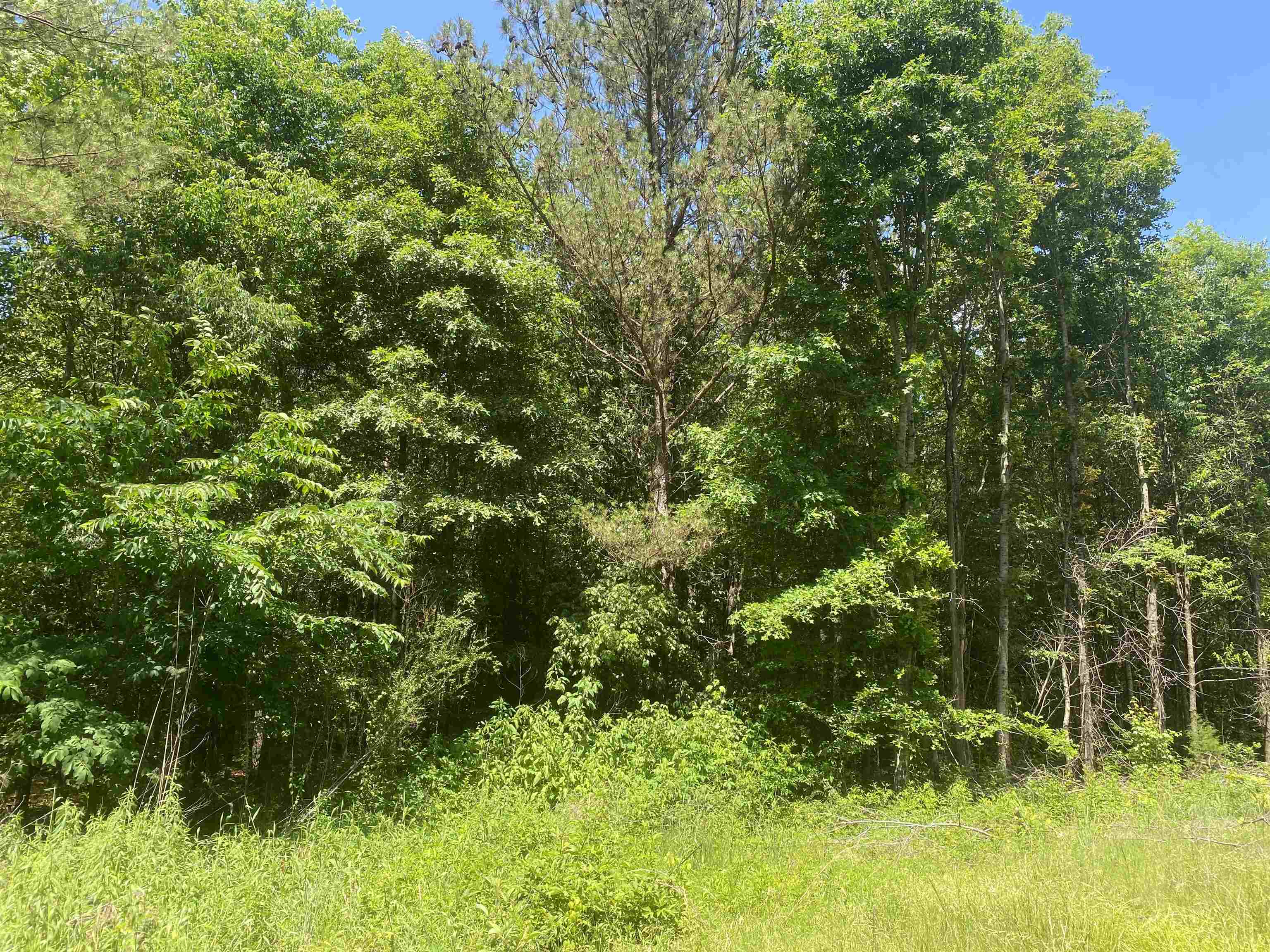 0 Hardin Graveyard Road Morris Chapel, TN 38361 - Photo 31 of 36